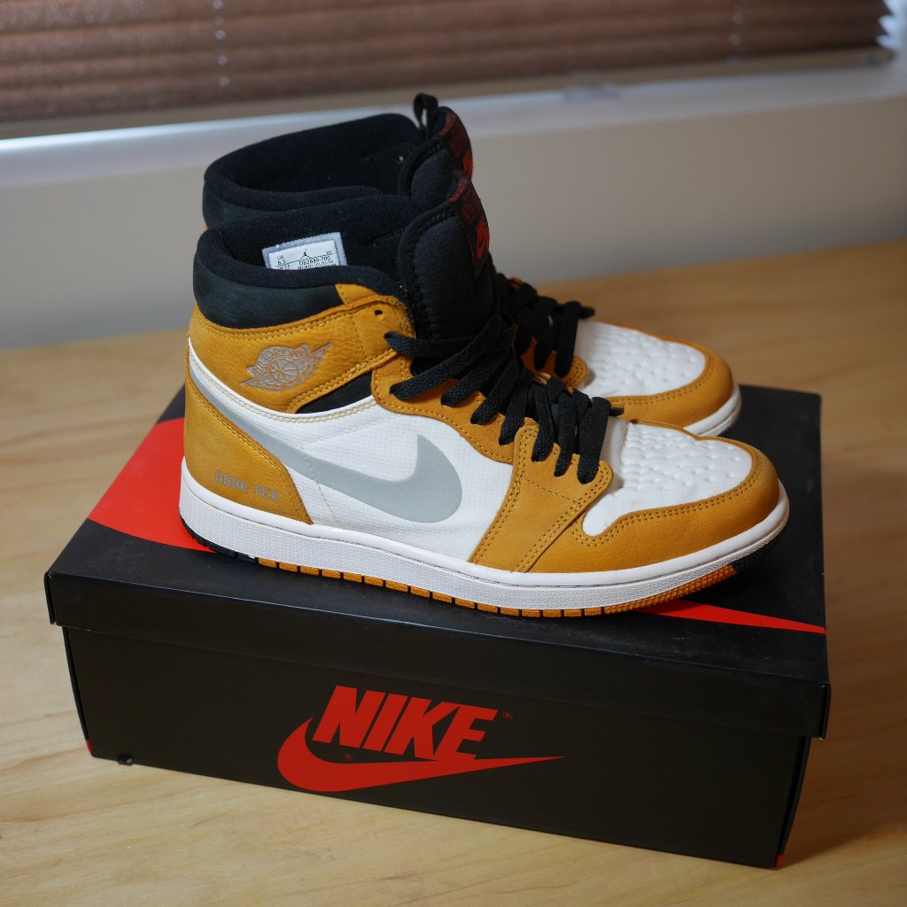 Air Jordan 1 Element GoreTex